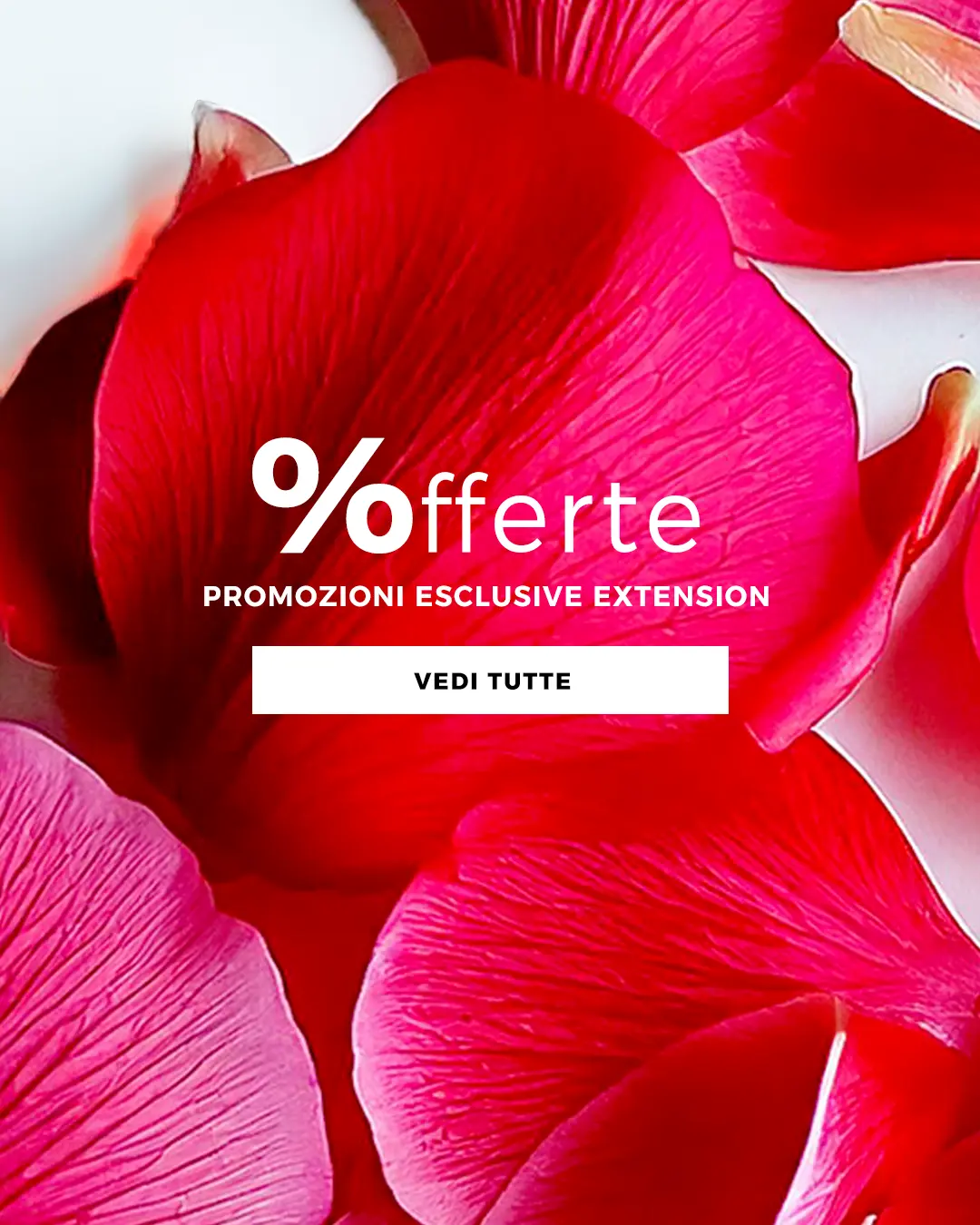 scritta offerte su sfondo petali rose